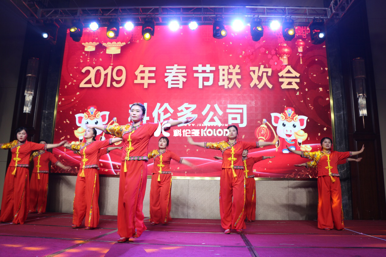 凱歌高奏辭舊歲，豪情滿懷迎新年 （科倫多隆重舉行2019春節(jié)聯(lián)歡晚會）
